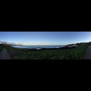 Meet your Posher, Nora